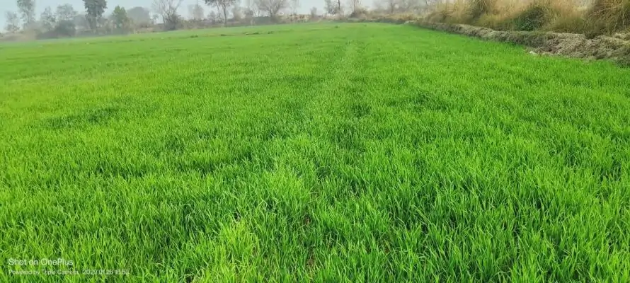 agricultural land for sale in India