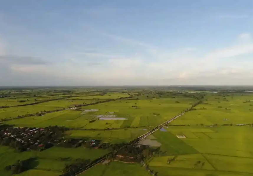 Aerial View of Open Land naugaon