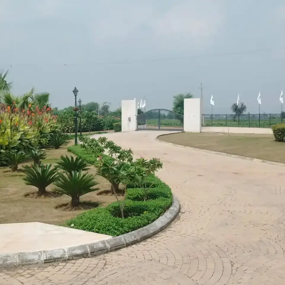 wide roads of araville farms naugaon