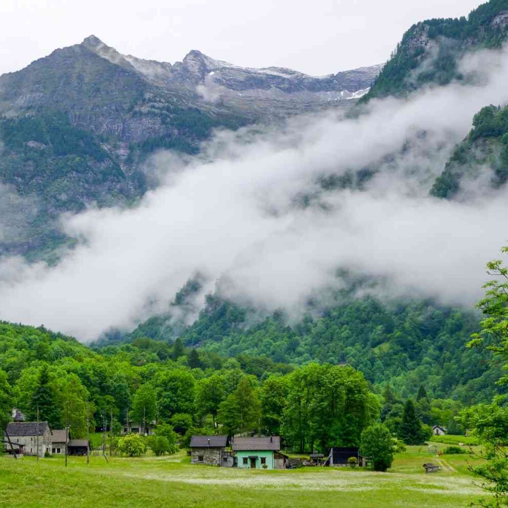 naugaon farmhouse aravalli view farms