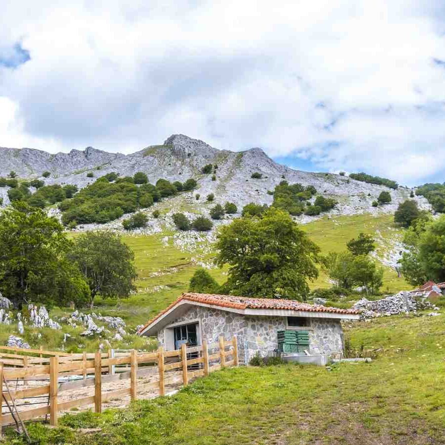 Farmhouse in Naugaon surrounded by greenery and open natural landscape