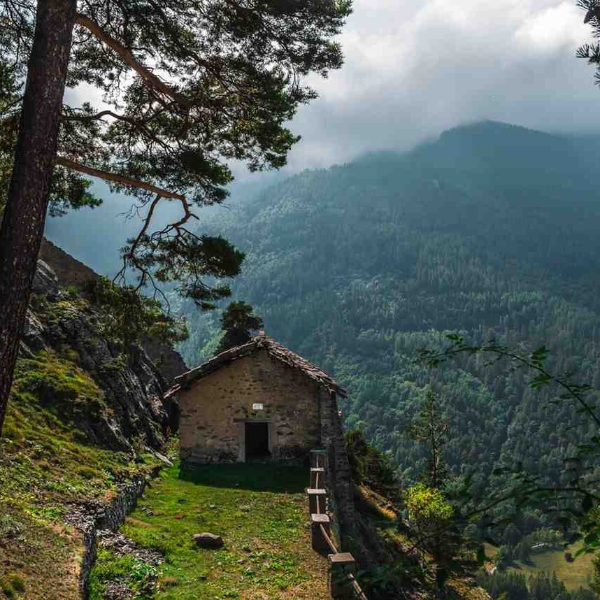 Investment-ready farmhouse plot in Naugaon with clear land and open surroundings