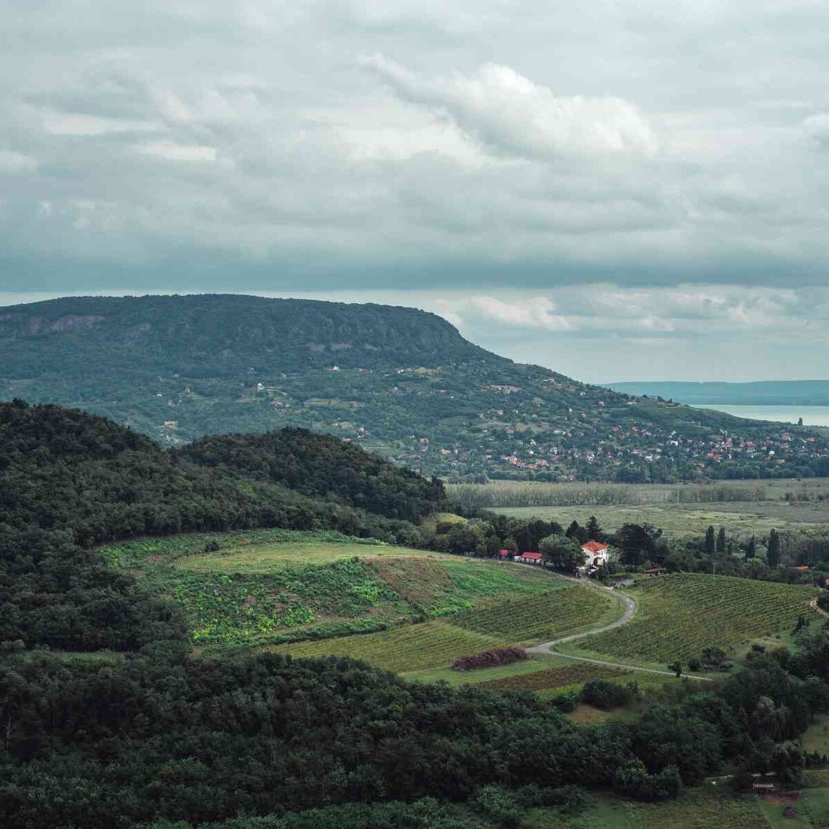 naugaon farms palatial